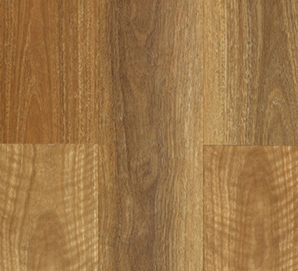 Aspire NSW Spotted Gum