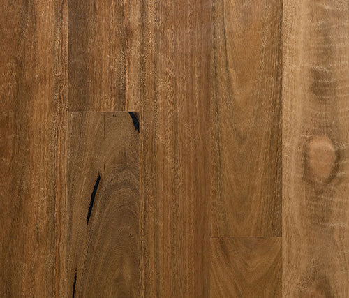 Select Australian Timber Spotted Gum